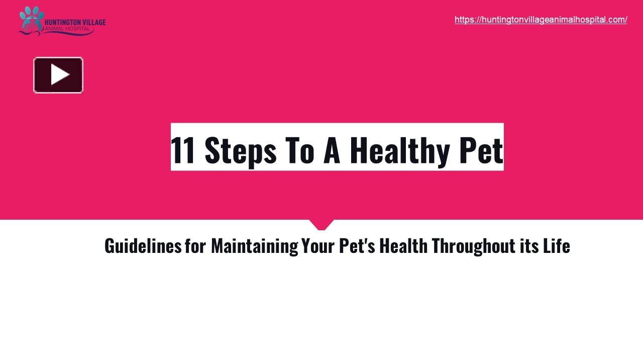 PPT – Guidelines for Maintaining Your Pet's Health Throughout its Life
