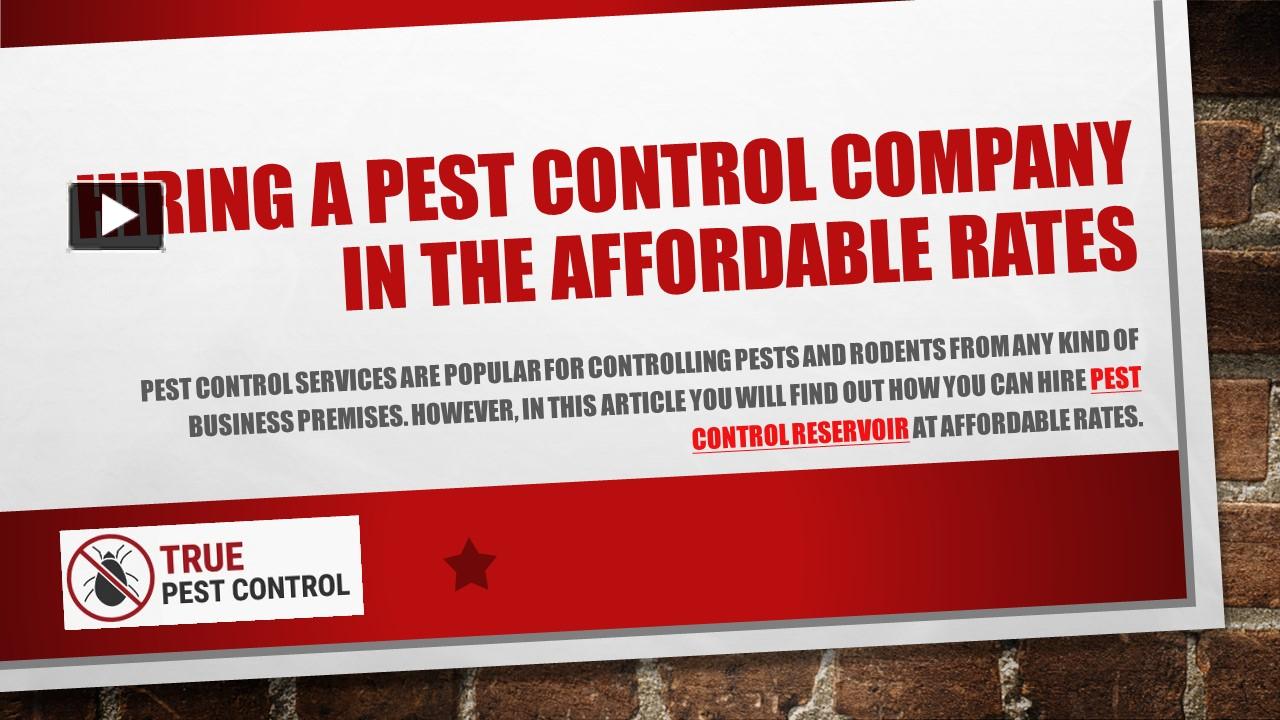 PPT Hiring A Pest Control Company In The Affordable Rates PowerPoint