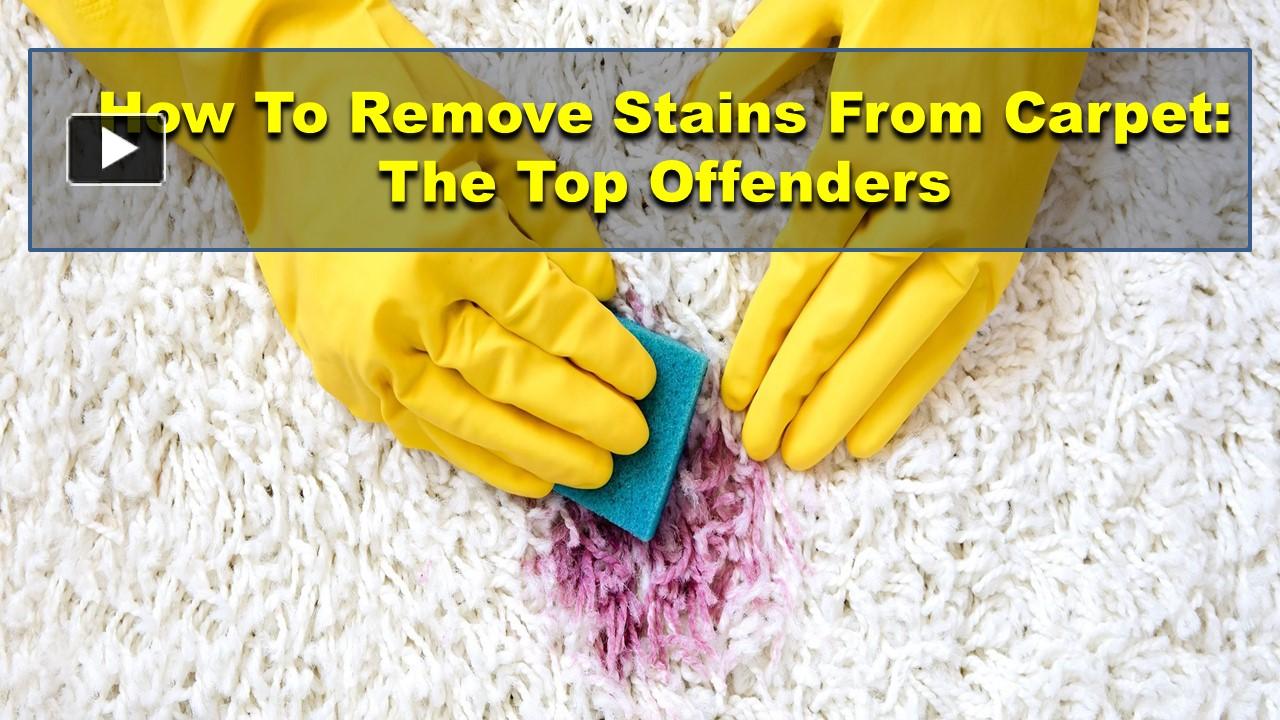 PPT How To Remove Stains From Carpet The Top Offenders PowerPoint