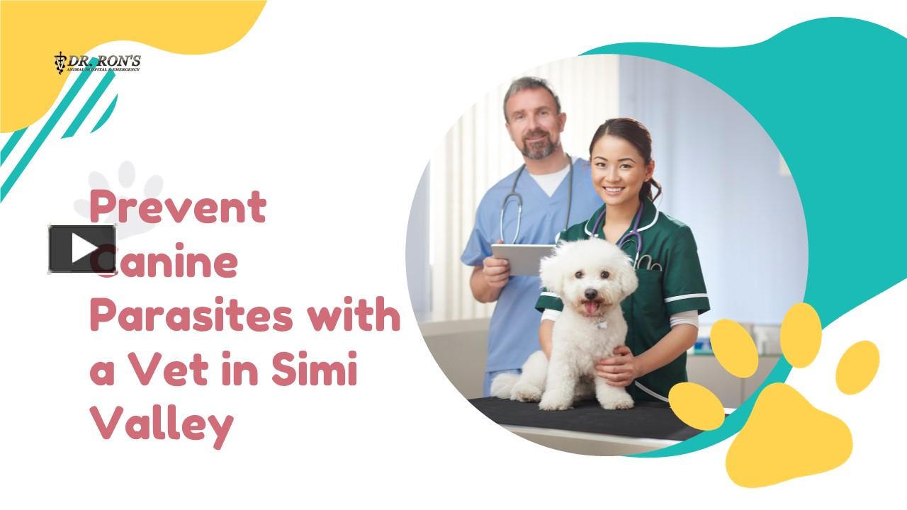 PPT Prevent Canine Parasites with a Vet in Simi Valley PowerPoint