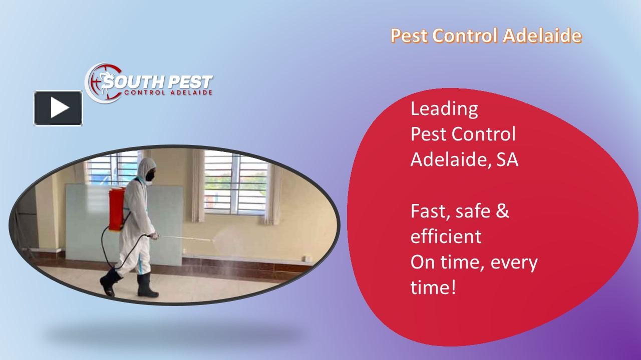 PPT South Pest Control Adelaide PowerPoint presentation free to