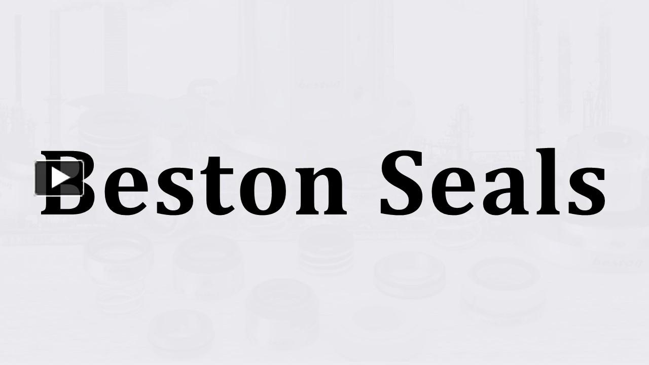 PPT Best Mechanical Seal Manufacturers in India Beston Seals