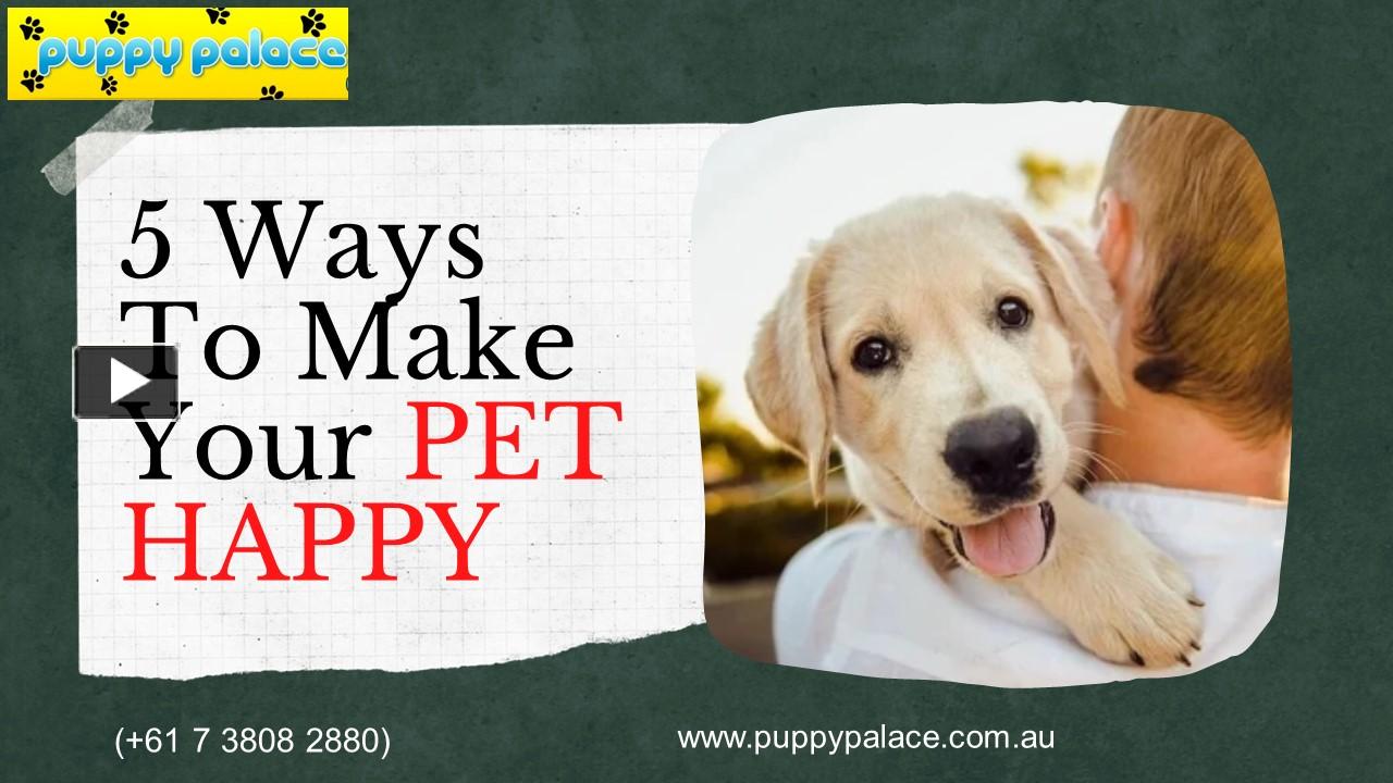 PPT 5 Ways To Make Your Pet Happy PowerPoint presentation free to