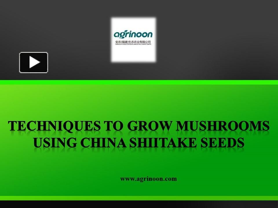 PPT Techniques to Grow Mushrooms Using China Shiitake Seeds