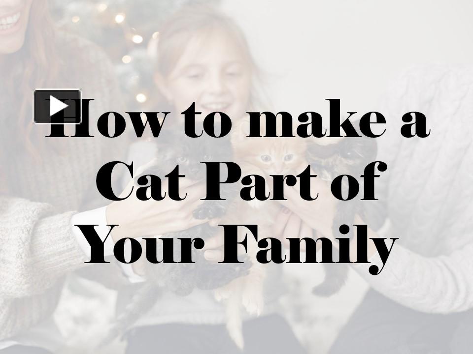 PPT How to Make a Cat Part of Your Family PowerPoint presentation