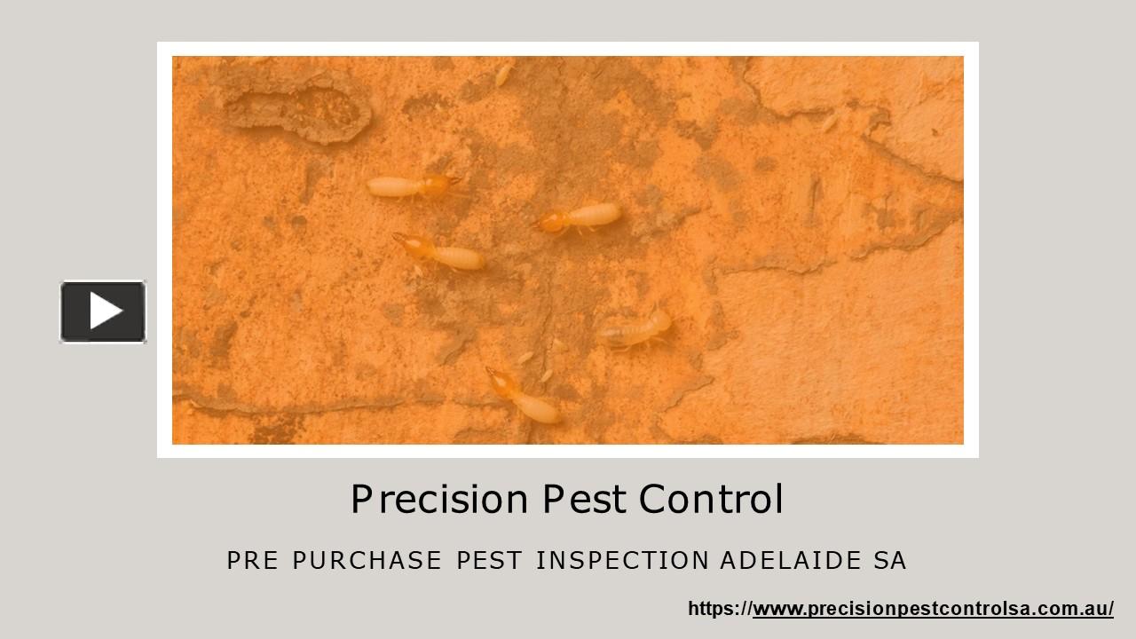 PPT Ant Pest Control Adelaide Precision Pest Control in South