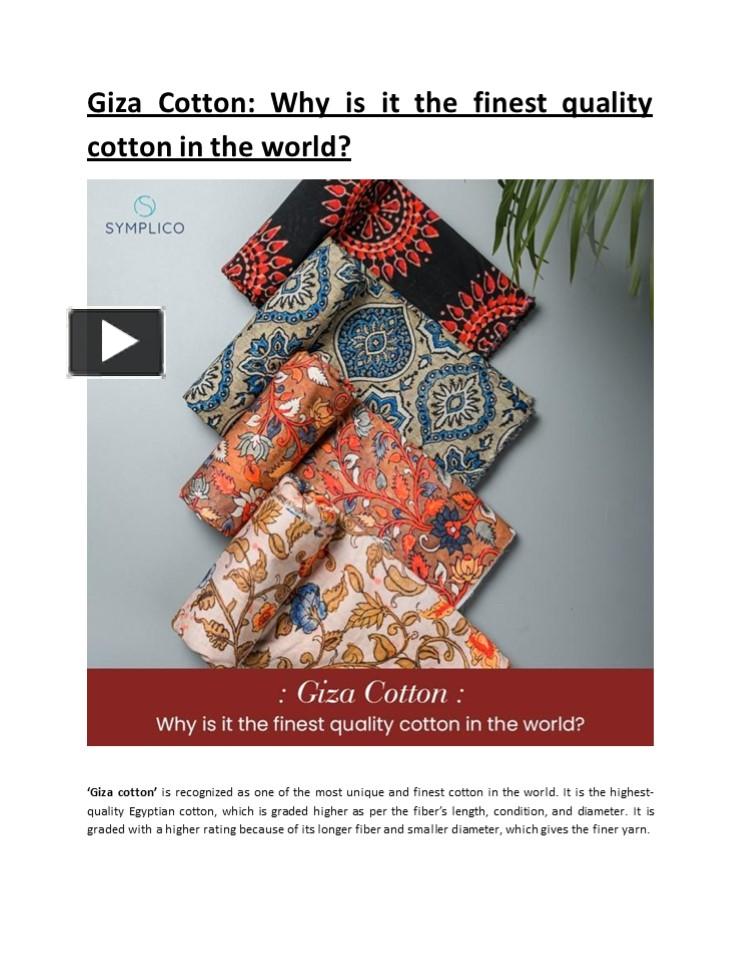 PPT Giza Cotton Why is it the finest quality cotton in the world