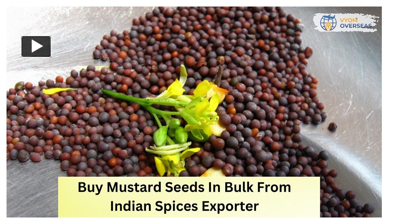 PPT Buy Mustard Seeds In Bulk From Indian Spices Exporter Vyom