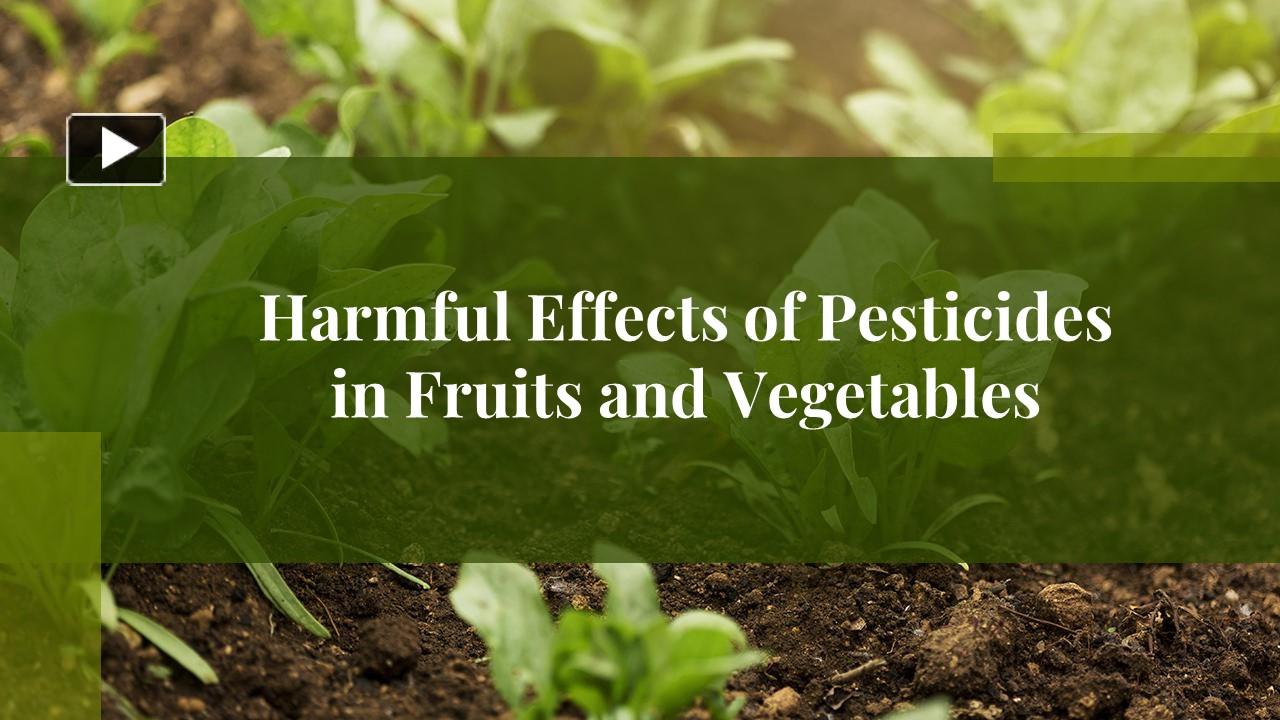 PPT Harmful Effects of Pesticides in Fruits and Vegetables PowerPoint