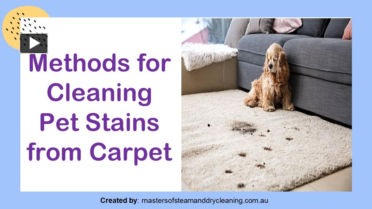 PPT Methods for Cleaning pet Stain from Carpet PowerPoint