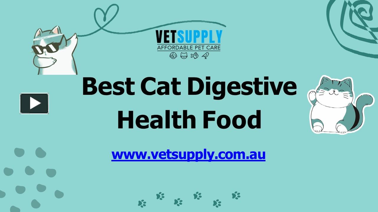 PPT Cat digestive health Cat digestive health food VetSupply