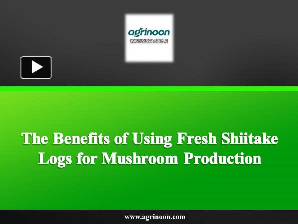 PPT The Benefits of Using Fresh Shiitake Logs for Mushroom Production