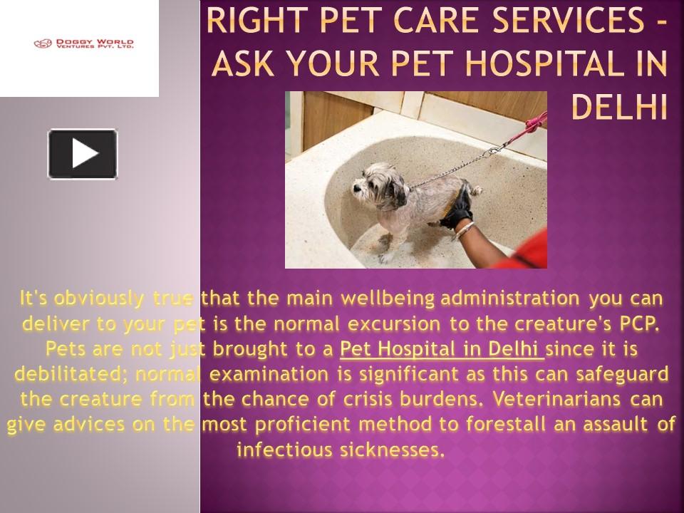 PPT Best Pet Hospital in Delhi PowerPoint presentation free to