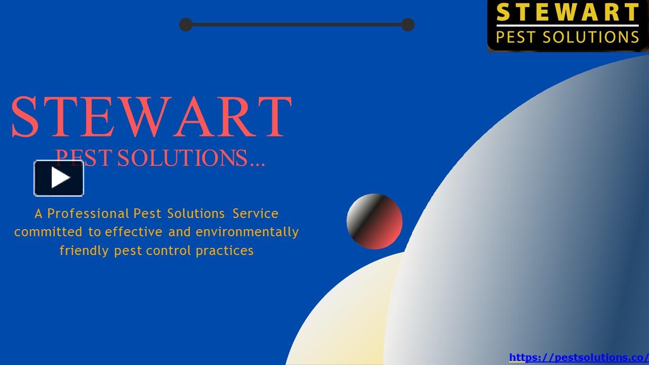 PPT Pest Control In Charlotte Stewart Pest Solutions PowerPoint