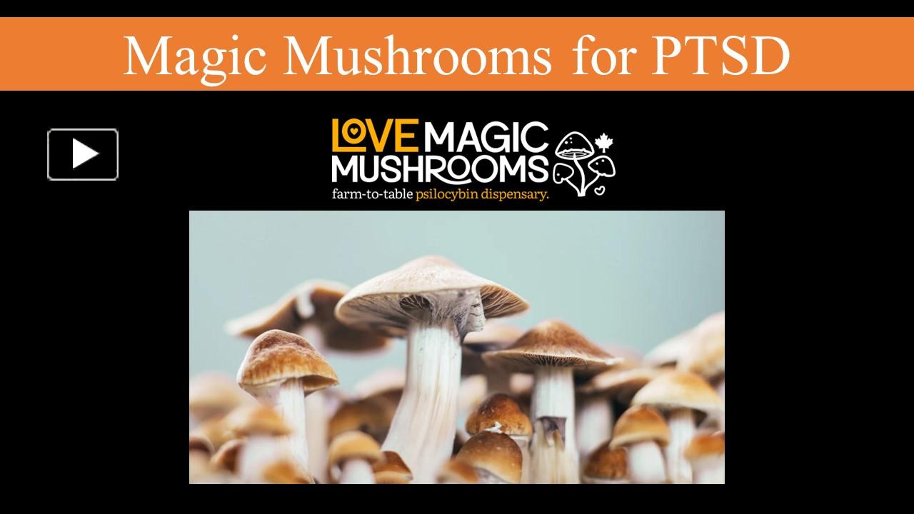 PPT Magic Mushrooms for PTSD PowerPoint presentation free to