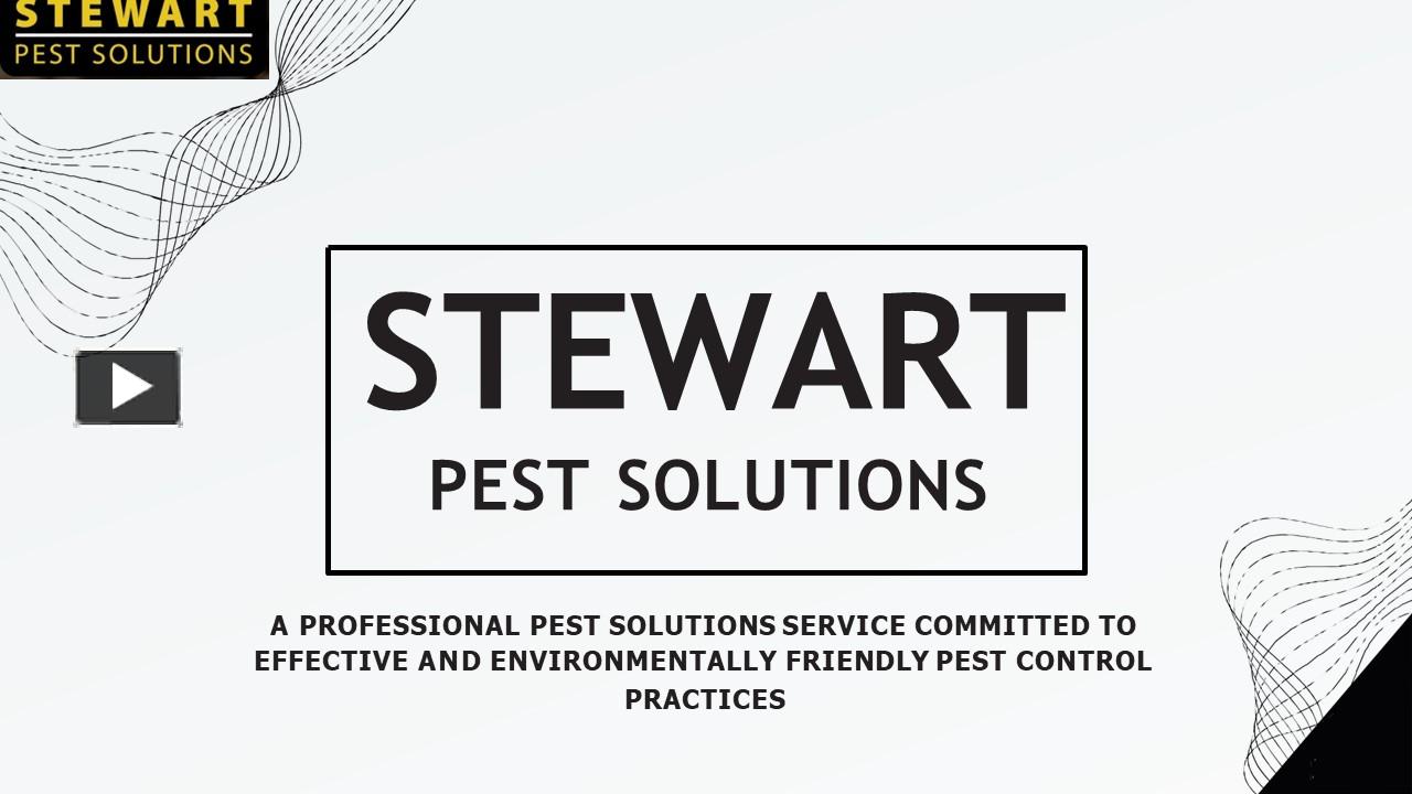 PPT Ants And Bees Control Services PowerPoint presentation free to