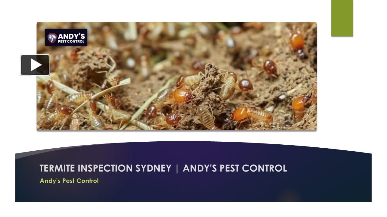 PPT Termite Inspection Sydney Andy's Pest Control PowerPoint presentation free to download