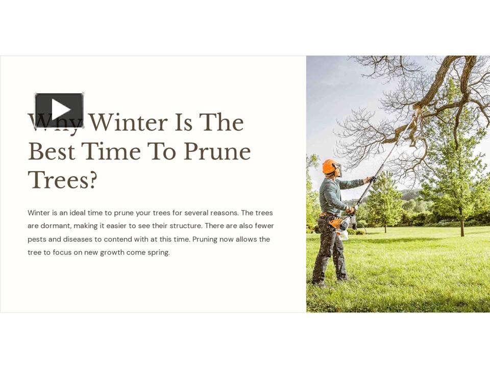 PPT Why Winter Is The Best Time To Prune Trees? PowerPoint presentation free to download