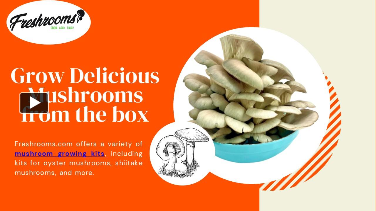 PPT Mushroom Growing Kit PowerPoint presentation free to download