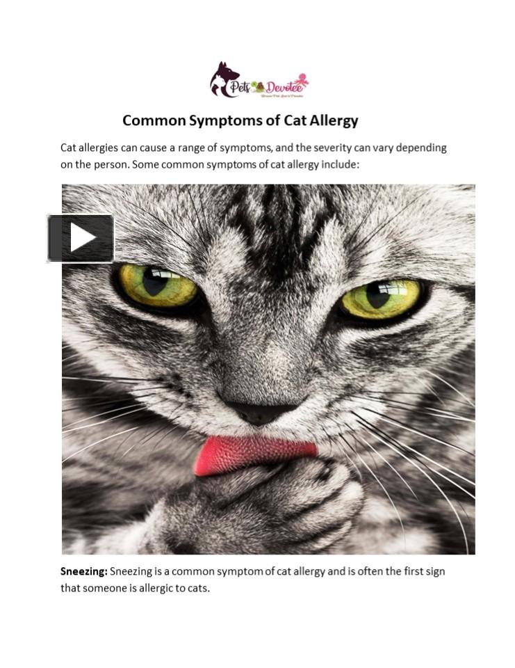 PPT Common Symptoms of Cat Allergy PowerPoint presentation free to