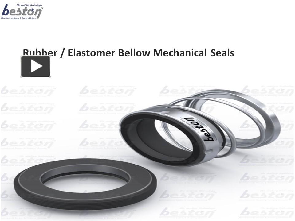 PPT Rubber Bellow Mechanical Seal Manufacturers in India Beston