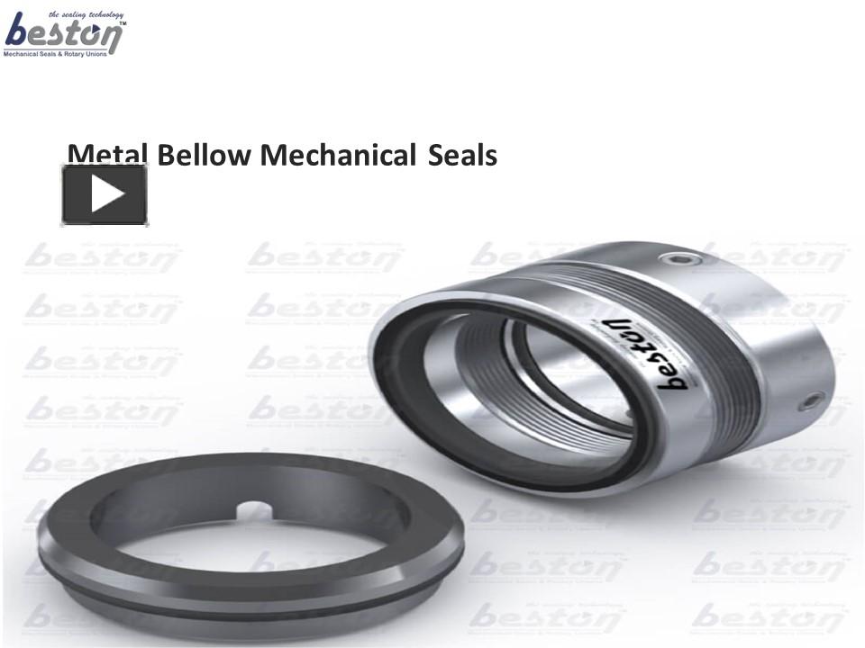 PPT Metal Bellow Mechanical Seal Manufacturers in India Beston