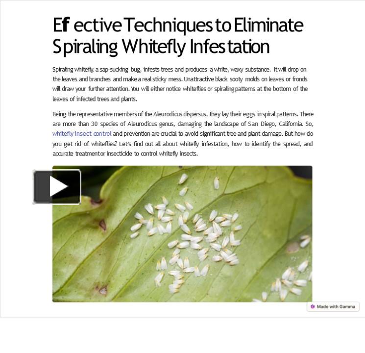 PPT Effective Techniques to Eliminate Spiraling Whitefly Infestation