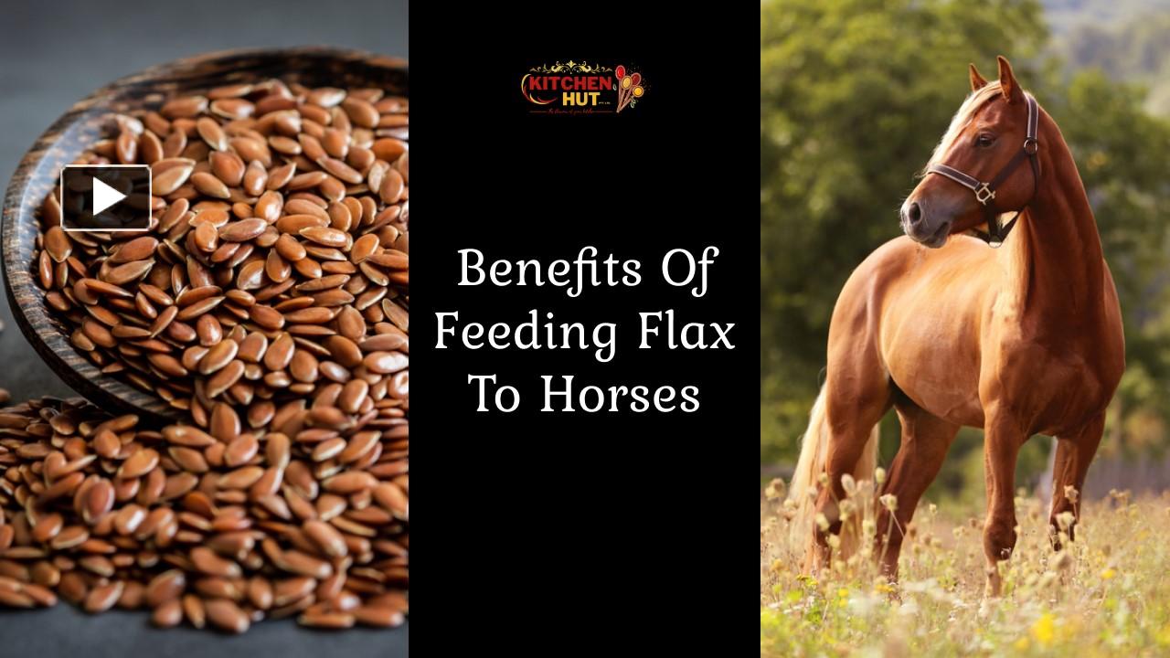 PPT Benefits of Feeding Flax to Horses Spice Suppliers In South
