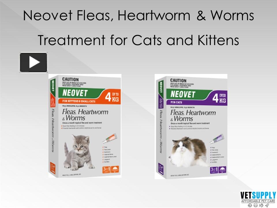 PPT Buy Neovet Flea and Worming Treatment for Cats PowerPoint presentation free to download
