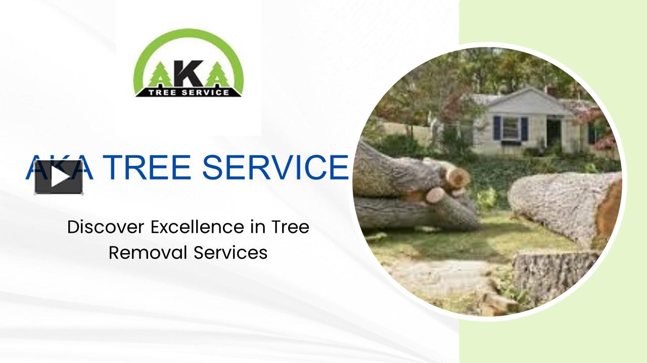 PPT AKA Tree Service Atlanta Tree Removal Service Experts (1
