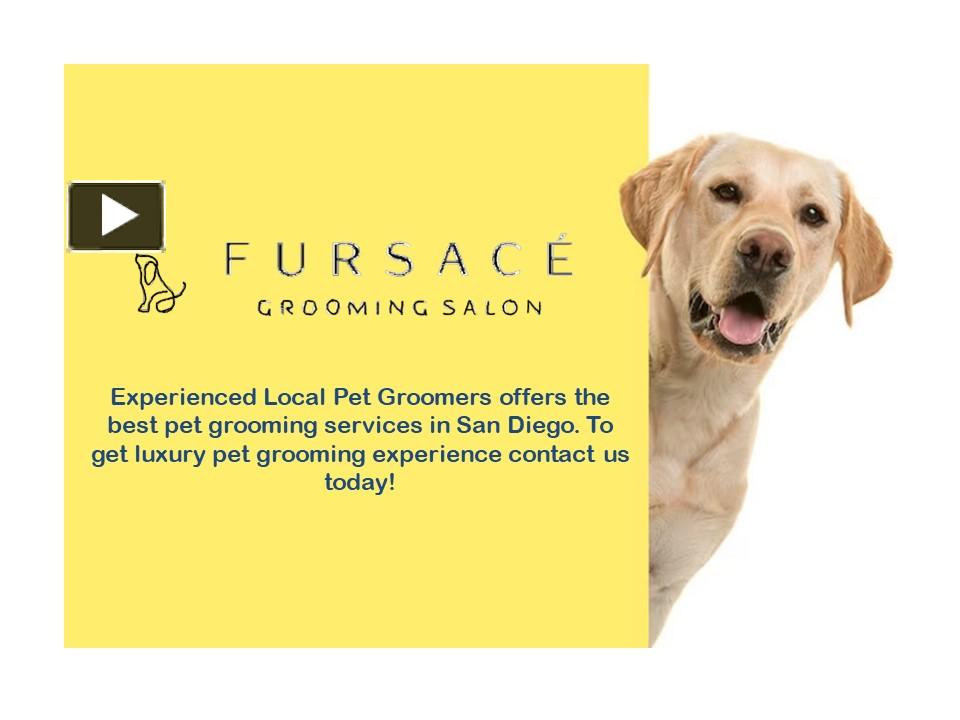 PPT Dog Groomers San Diego (1) PowerPoint presentation free to