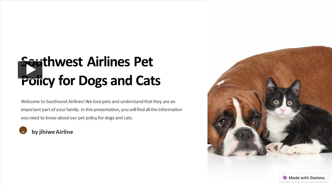 PPT Southwest Airlines Pet Policy PowerPoint presentation free to