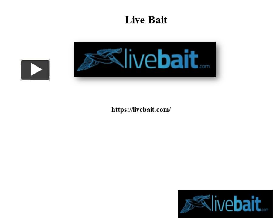 PPT Cast Net For Beginners PowerPoint presentation free to download
