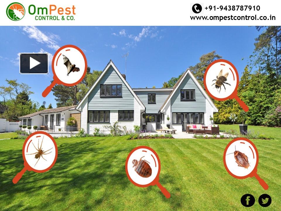 PPT Check the best Pest Control Services Odisha PowerPoint presentation free to download