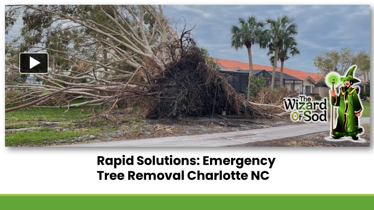 PPT Rapid Solutions Emergency Tree Removal Charlotte NC PowerPoint