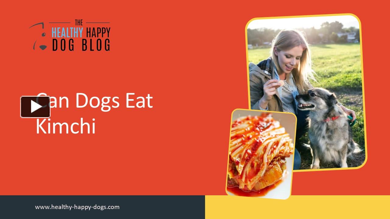 PPT Can Dogs Eat Kimchi The Happy Healthy Dog Blog PowerPoint
