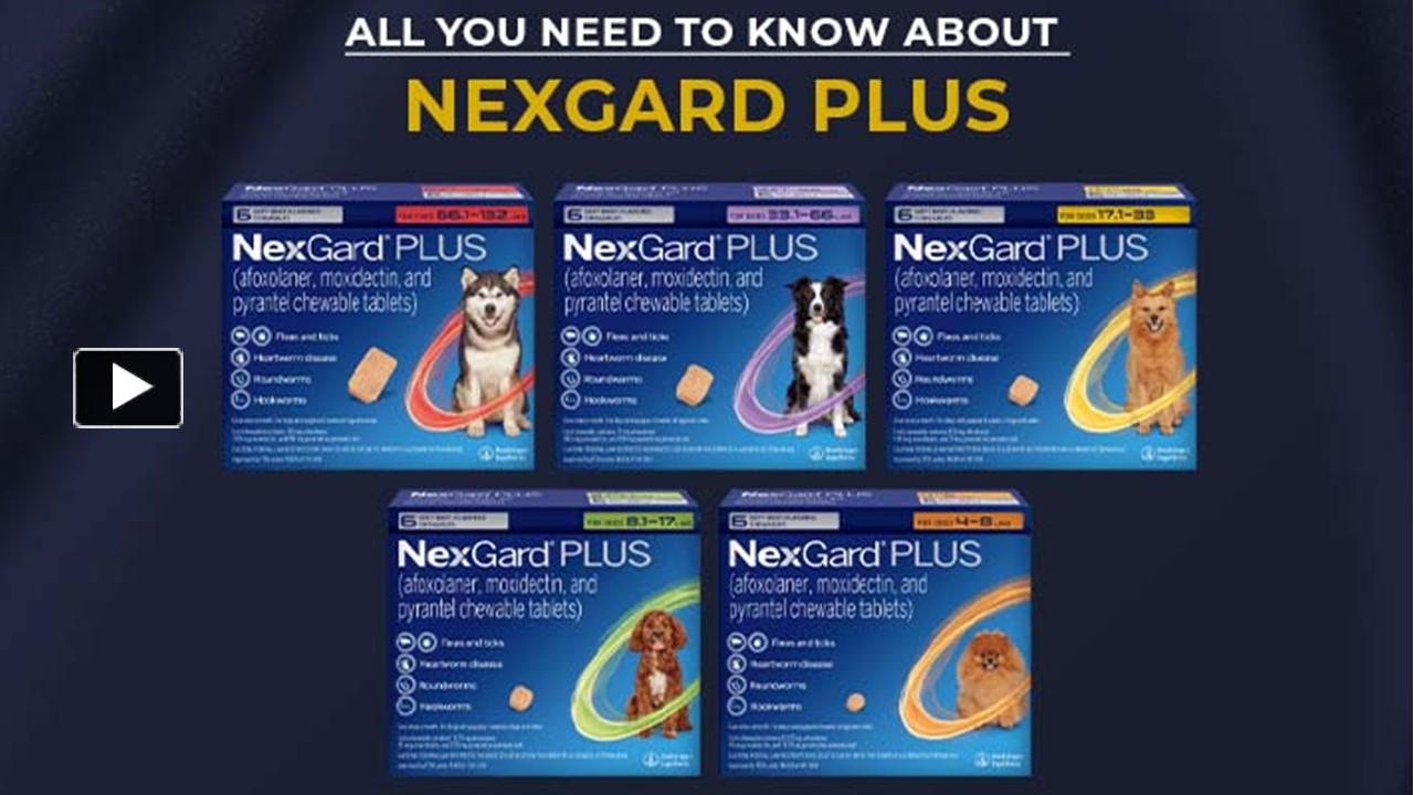 PPT All you Need to Know about Nexgard Plus PowerPoint presentation free to download id