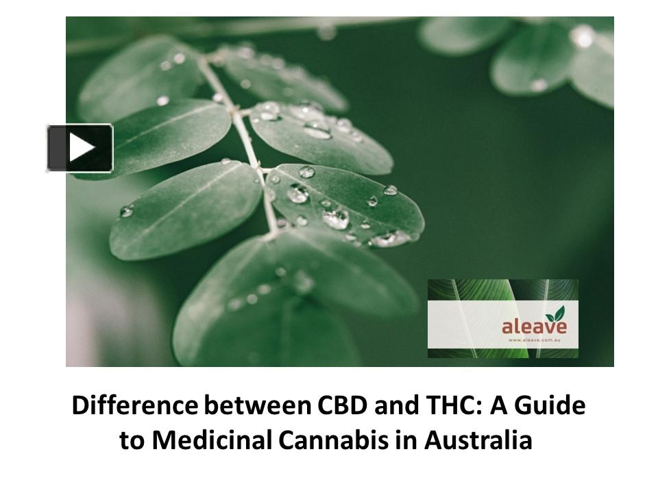 PPT Difference between CBD and THC A Guide to Medicinal Cannabis in Australia PowerPoint