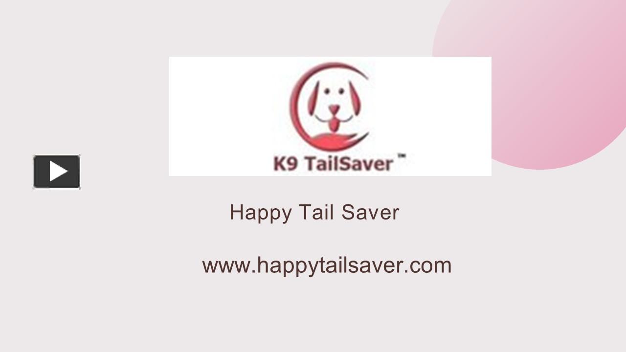 PPT Dog's tail started to exhibit Happy Tail Syndrome (1) PowerPoint