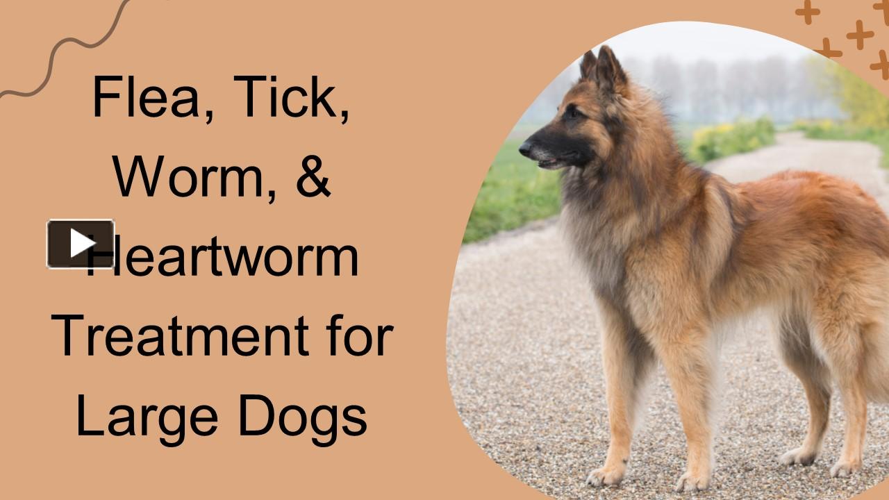 PPT Fleas, Ticks, Heartworms, and Worms Treatment for Large Dogs