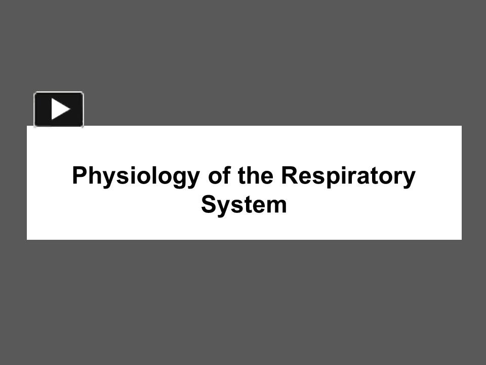 physiology of respiratory system ppt download