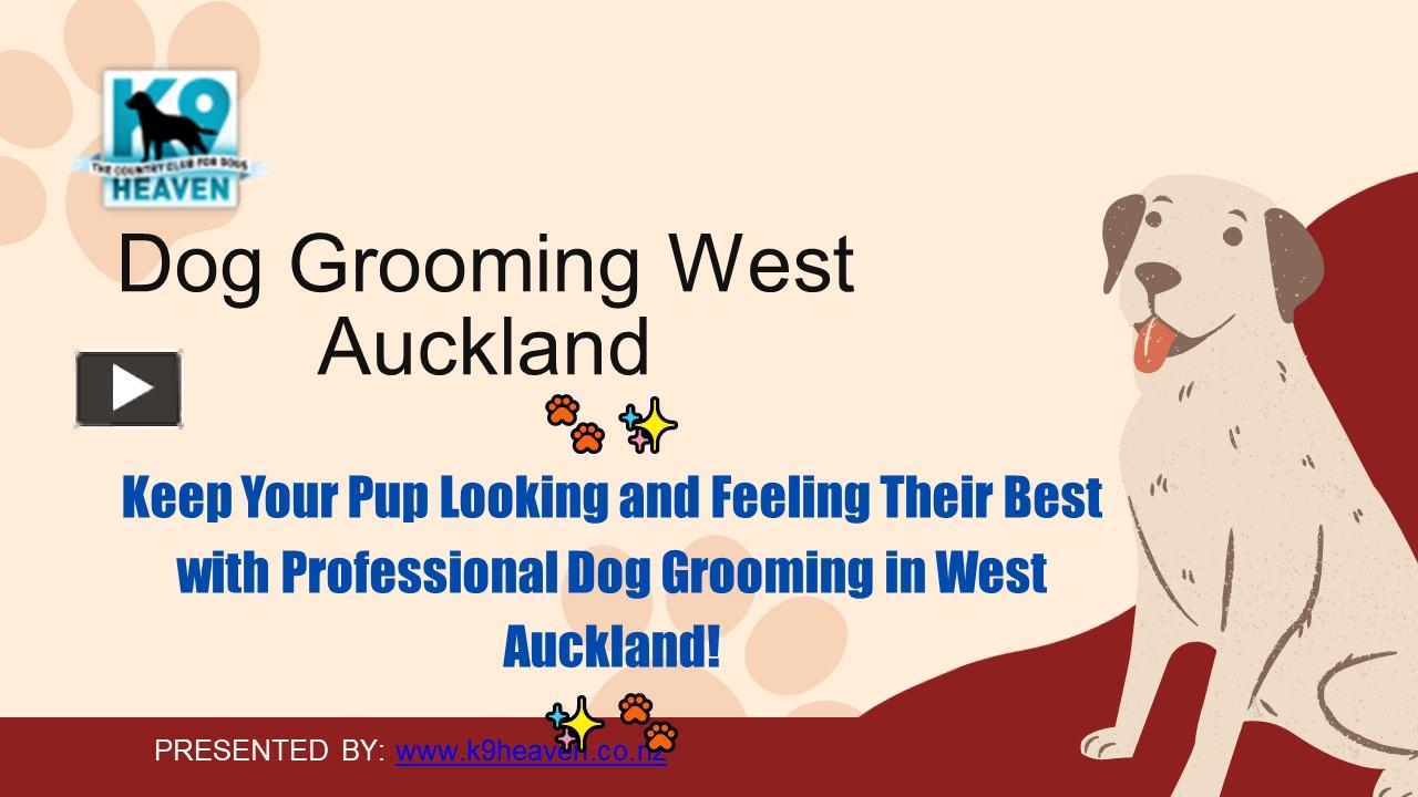PPT Dog Grooming West Auckland PowerPoint presentation free to