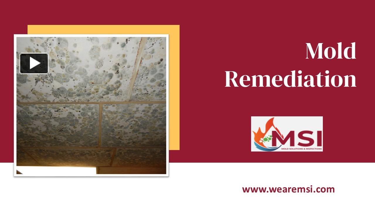Mold Remediation - RTK Environmental
