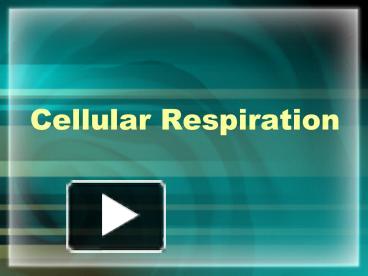 PPT – Cellular Respiration PowerPoint presentation | free to view - id ...