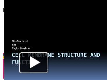 structure and function of cell membrane biochemistry ppt