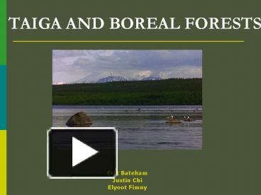 BOREAL FOREST OR TAIGA Stefanny Wilches. - ppt download