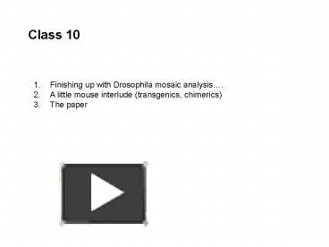 PPT – Class 10 PowerPoint presentation | free to view - id: 1003e6-ZDc1Z