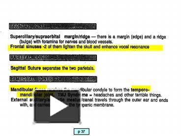 PPT – p 37 PowerPoint presentation | free to view - id: 10153f-ZDc1Z