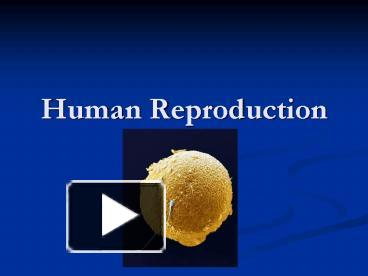 PPT – Human Reproduction PowerPoint presentation | free to view - id ...