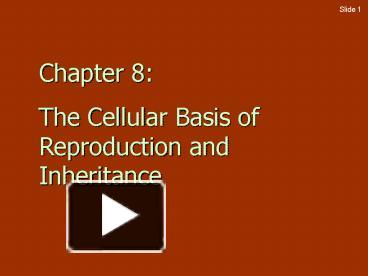 The Cellular Basis of Reproduction and Inheritance presentation | free ...